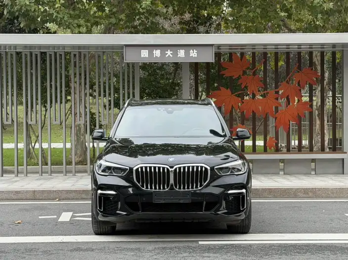 BMW X5 2022 Model Facelift xDrive 40Li M Sports Set – фото 2