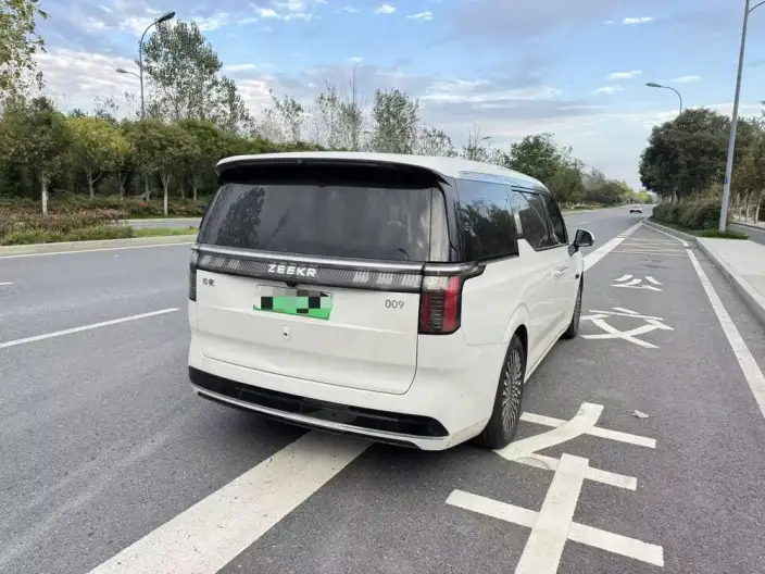 ZEEKR 009 2024 Model VI seat Executive Edition 4WD 108kWh – фото 6