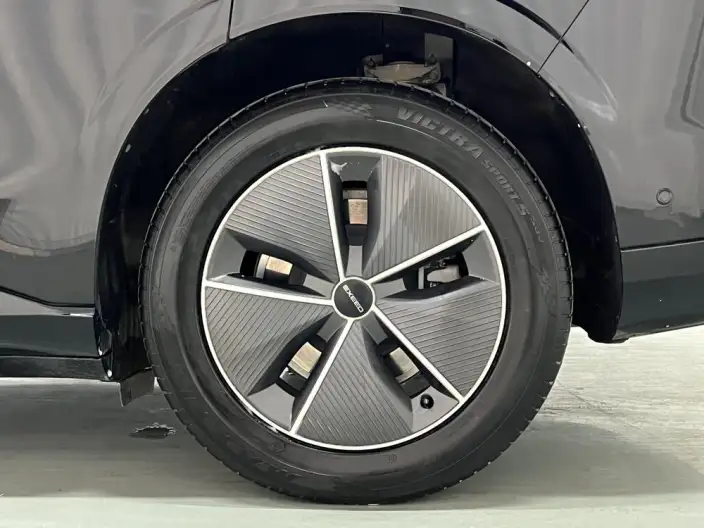 Exeed Sterra ET 2024 Model Extended Range Edition Pro – фото 9