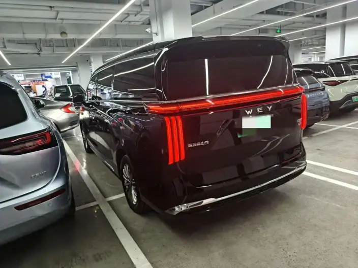 Wey Gaoshan P HEV 2025 Model 4WD Wey Gaoshan 9 – фото 4
