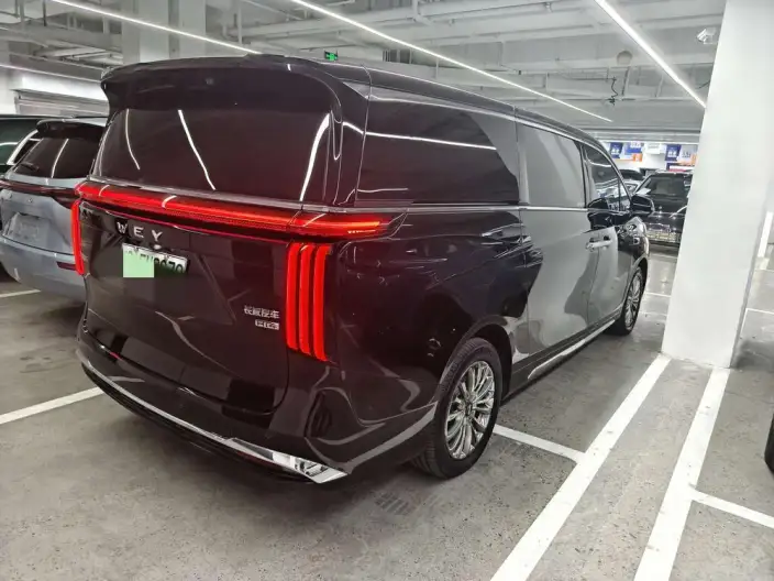 Wey Gaoshan P HEV 2025 Model 4WD Wey Gaoshan 9 – фото 6
