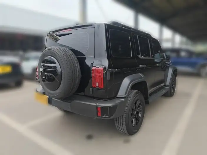 Tank 300 2024 Model 2.0T Challenger – фото 4