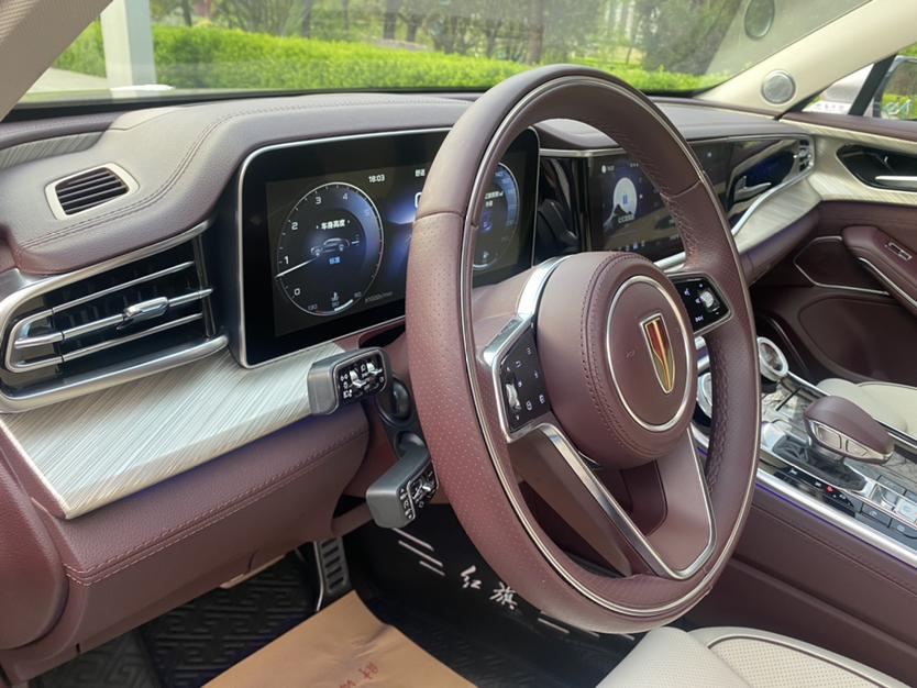 Hongqi H9 2020 3.0T Smart Connect Flag Smooth – фото 10