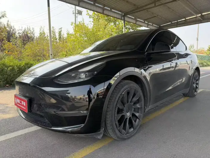 Model Y 2022 Model Long Battery Life Pro All-wheel drive version – фото 1