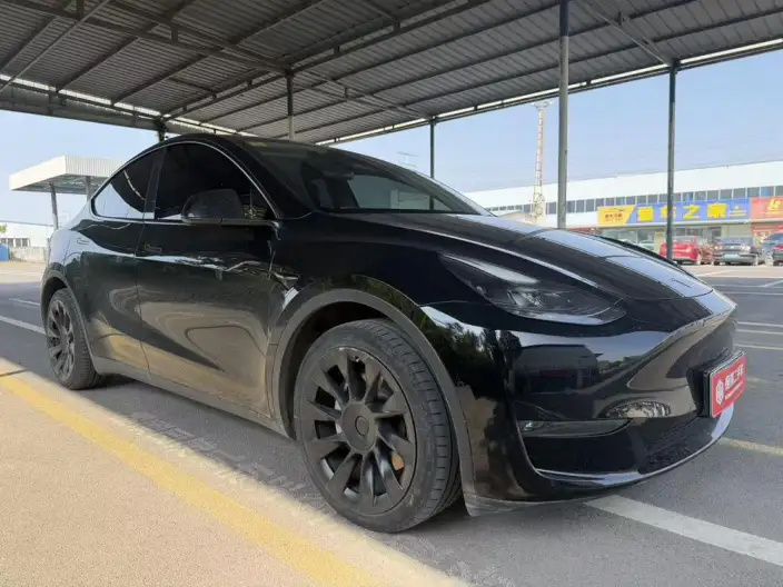 Model Y 2022 Model Long Battery Life Pro All-wheel drive version – фото 3