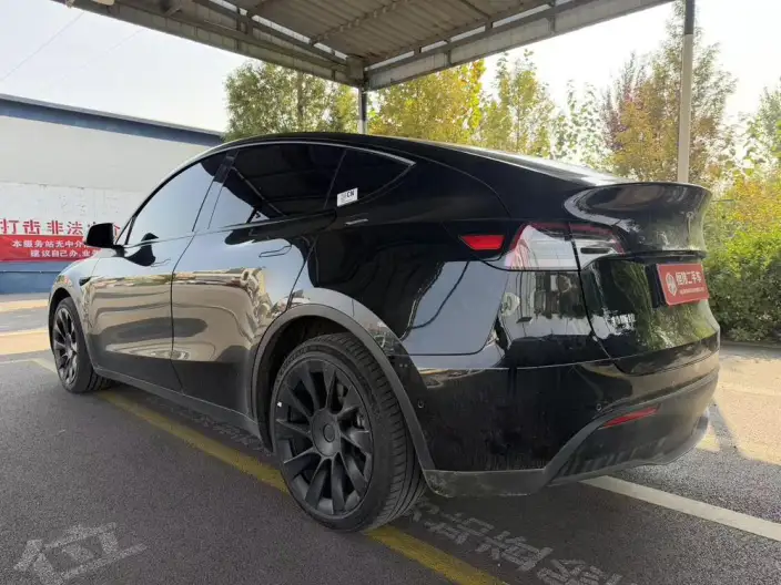 Model Y 2022 Model Long Battery Life Pro All-wheel drive version – фото 4