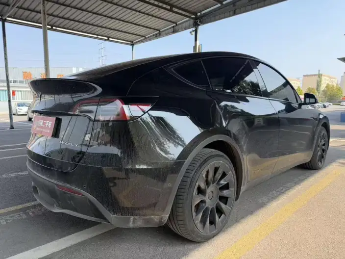 Model Y 2022 Model Long Battery Life Pro All-wheel drive version – фото 6