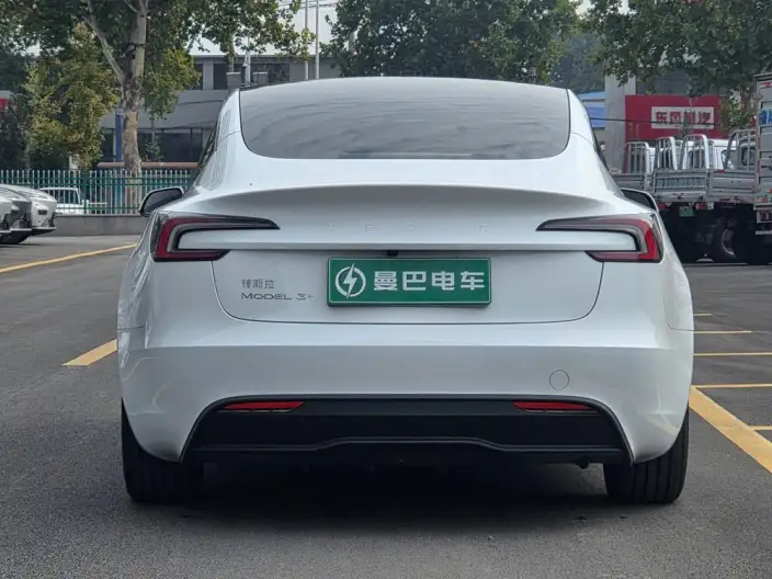 Model 3 2023 Model Long Battery Life Pro All-wheel drive version – фото 4