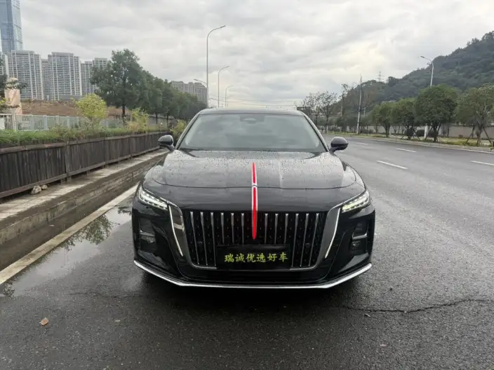 Hongqi H5 2023 Model 2.0T Automatic Flag Enjoy Edition – фото 2