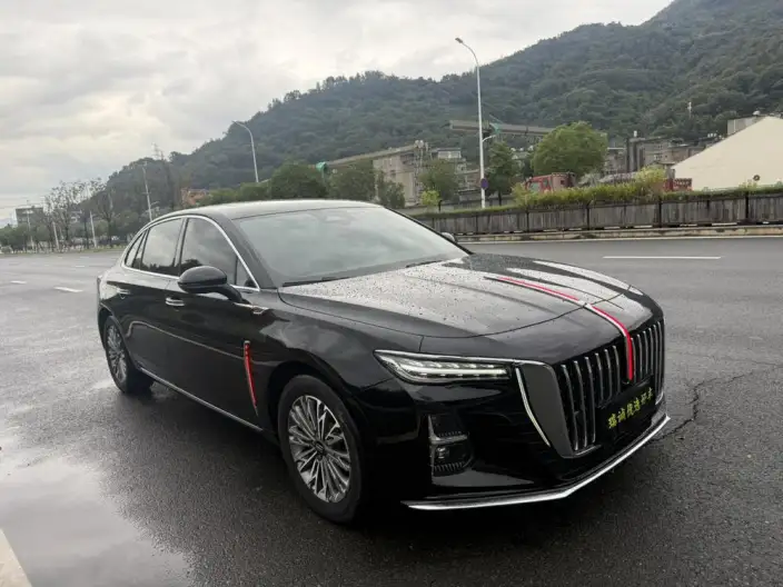Hongqi H5 2023 Model 2.0T Automatic Flag Enjoy Edition – фото 3