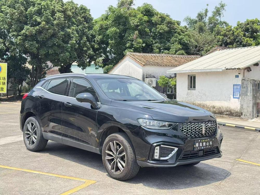 WEY VV5 2020 1.5T Trend Pioneer – фото 3
