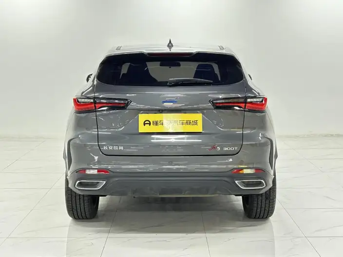 Changan Oshan X5 2021 Model Facelift 1.5T DCT Luxury Model – фото 6