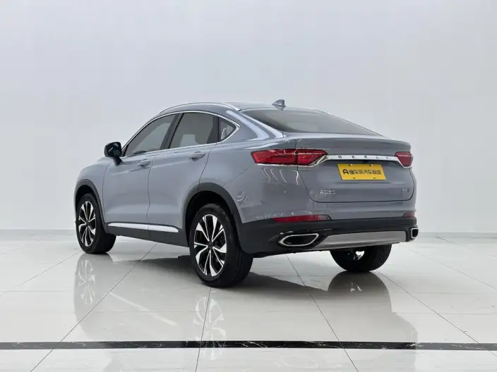 Xingyue S 2021 Model 2.0TD DCT 2WD Lightning Edition – фото 5