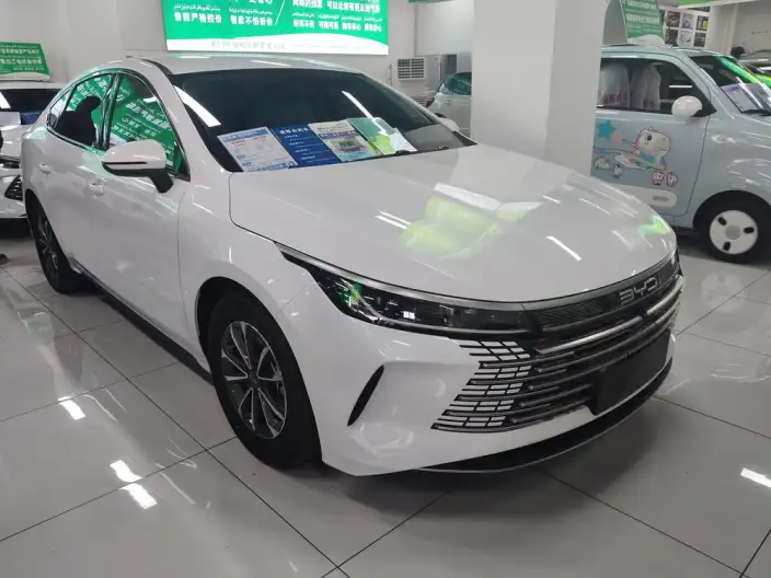 BYD Destroyer 05 2024 Model Honor Edition DM-i 55KM Luxury Model – фото 2
