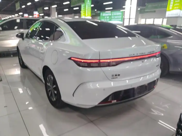 BYD Destroyer 05 2024 Model Honor Edition DM-i 55KM Luxury Model – фото 3