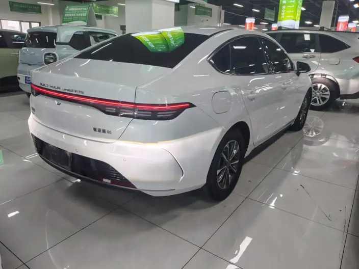BYD Destroyer 05 2024 Model Honor Edition DM-i 55KM Luxury Model – фото 4