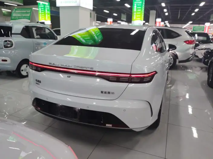 BYD Destroyer 05 2024 Model Honor Edition DM-i 55KM Luxury Model – фото 5