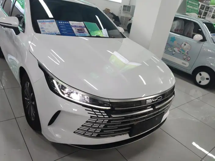BYD Destroyer 05 2024 Model Honor Edition DM-i 55KM Luxury Model – фото 7