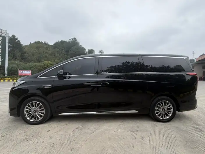 Wey Gaoshan P HEV 2025 Model 4WD Wey Gaoshan 9 – фото 3