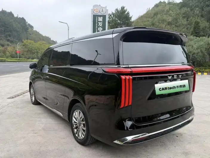 Wey Gaoshan P HEV 2025 Model 4WD Wey Gaoshan 9 – фото 4