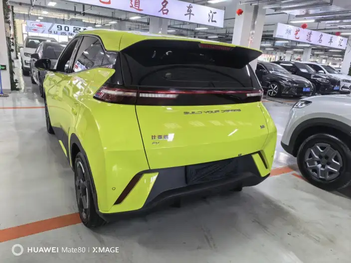 BYD Seagull 2023 Model Feixiang Edition – фото 4