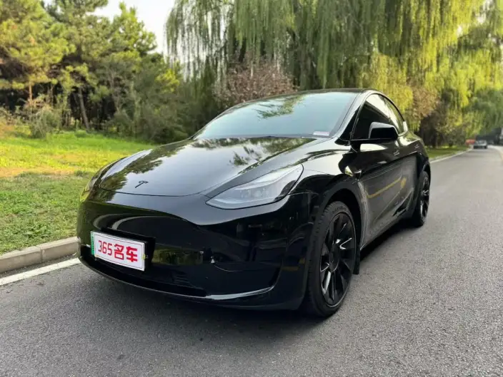Model Y 2022 Model Facelift Rear-wheel drive version – фото 1