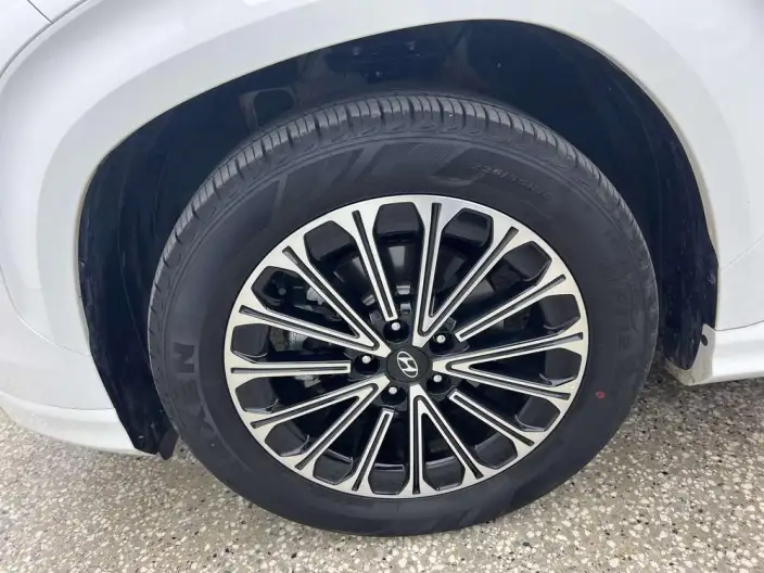 Hyundai Custin 2024 Model 270TGDi LUX Premium Edition – фото 7