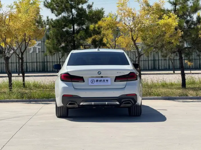 BMW 5 Series 2023 Model 530Li Leading Model M Sports Set – фото 5