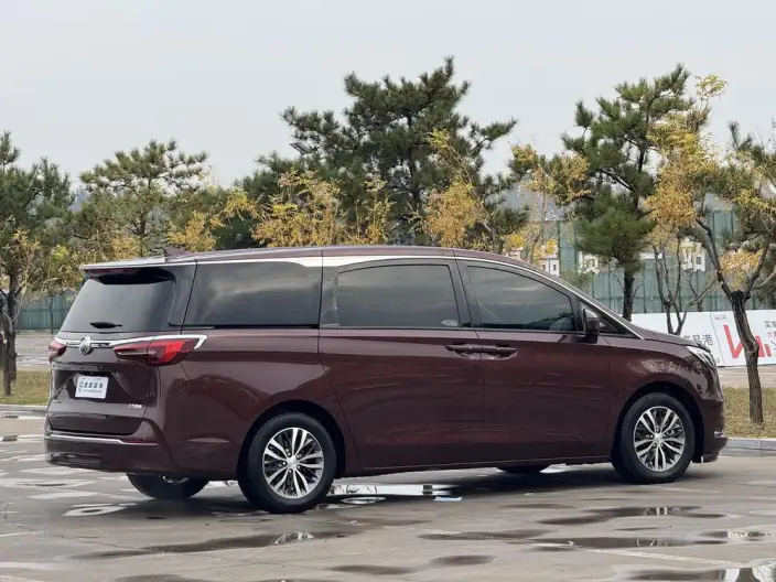 Buick GL8 2022 Model ES Luzun 653T Exclusive Model – фото 6