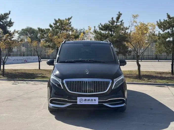 Viano 2021 Model 2.0T Business Edition 7 seat – фото 2