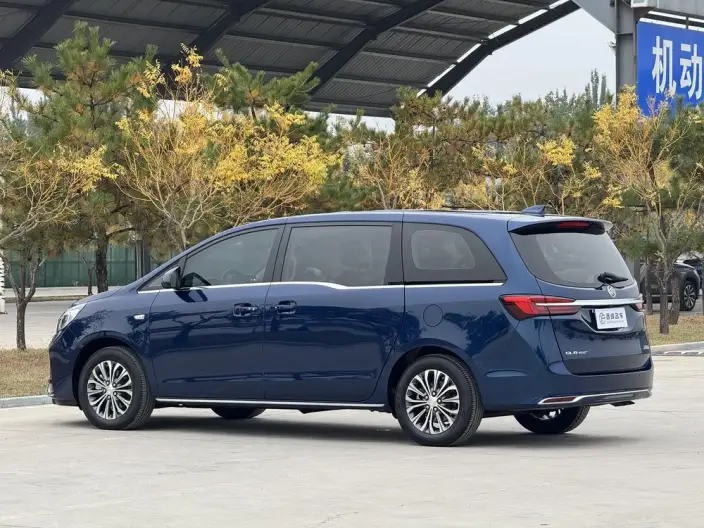 Buick GL8 2023 Model Business class 2.0T Comfort Model – фото 4
