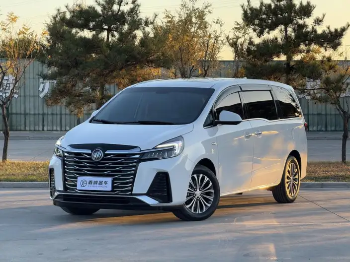 Buick GL8 2022 Model Facelift Business class 2.0T Noble Model – фото 1