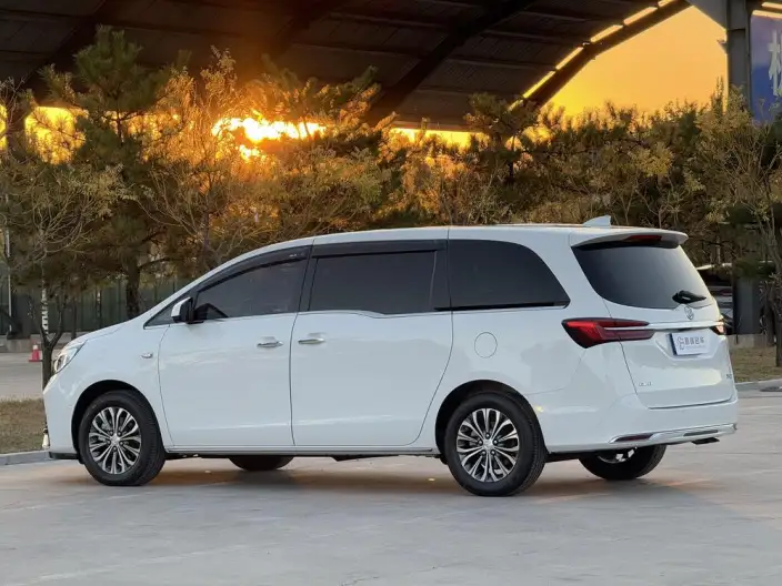 Buick GL8 2022 Model Facelift Business class 2.0T Noble Model – фото 4