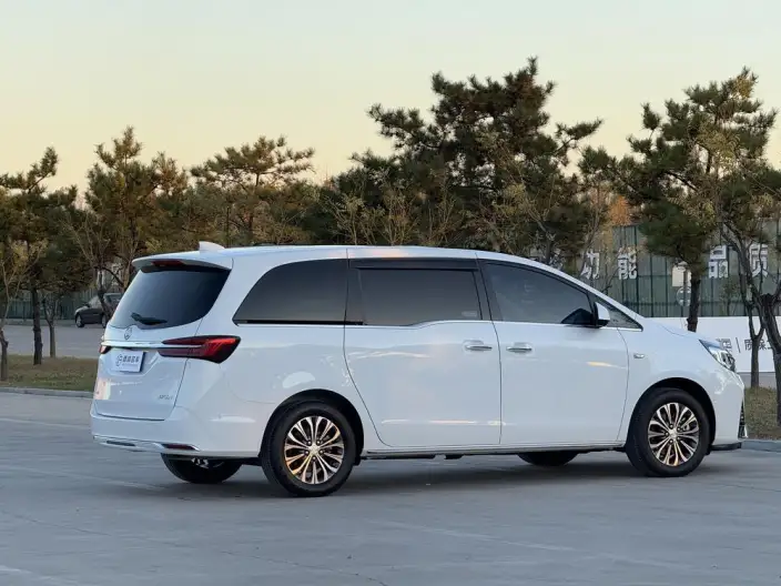 Buick GL8 2022 Model Facelift Business class 2.0T Noble Model – фото 6
