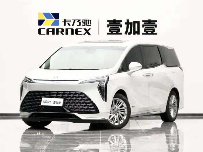 Century 2023 Model 2.0T VI seat Yunshi Edition – фото 1