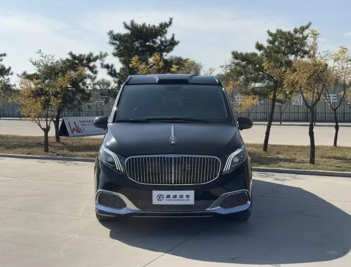 Viano 2023 Model 2.0T Business Edition 7 seat – фото 2