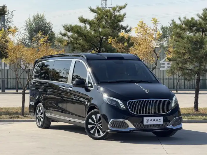 Viano 2023 Model 2.0T Business Edition 7 seat – фото 3