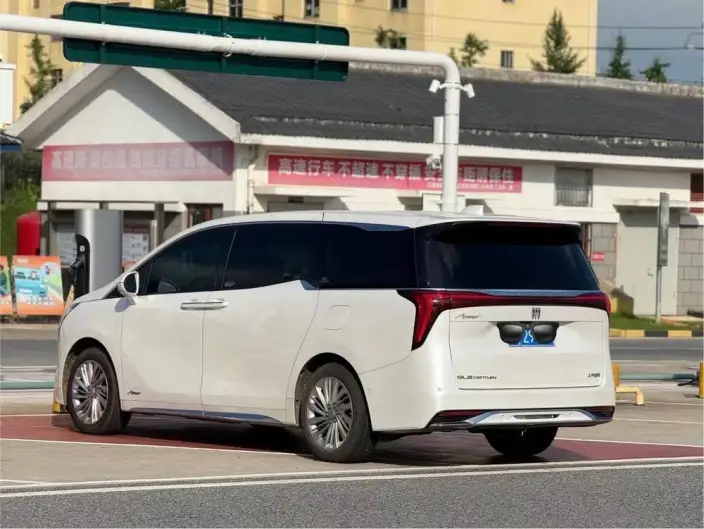 Century 2023 Model 2.0T VII seat Yunshi Edition – фото 4