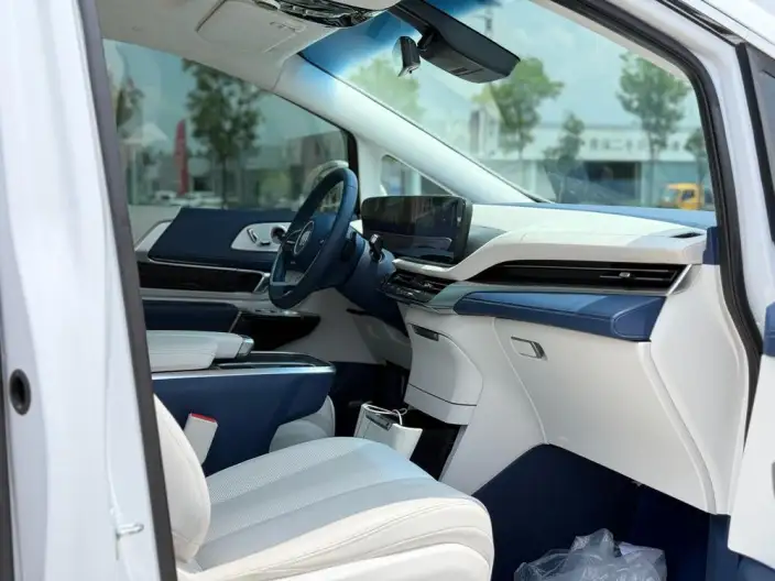 Century 2023 Model 2.0T VII seat Yunshi Edition – фото 8