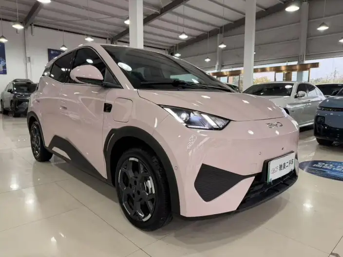 BYD Seagull 2025 Model Smart Driving Edition 305KM Free Edition – фото 3