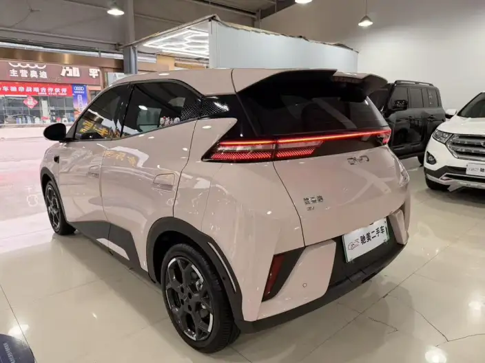BYD Seagull 2025 Model Smart Driving Edition 305KM Free Edition – фото 4