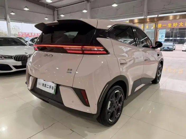 BYD Seagull 2025 Model Smart Driving Edition 305KM Free Edition – фото 6