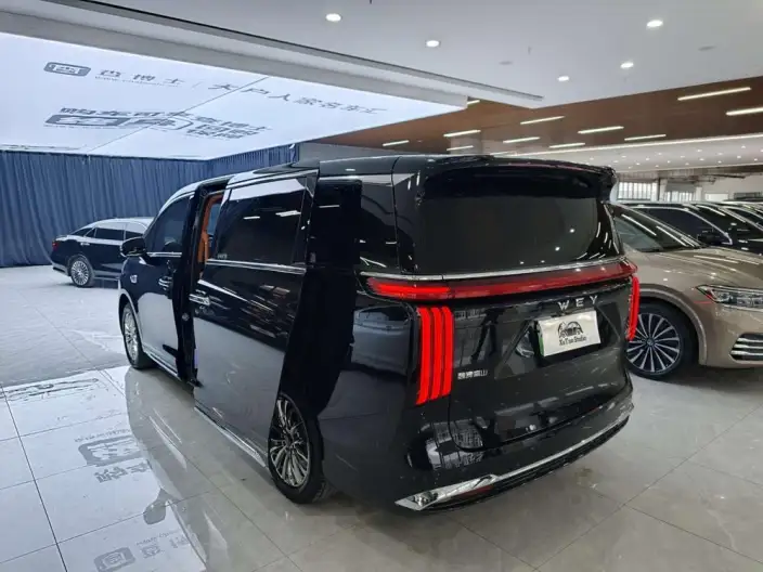 Wey Gaoshan P HEV 2023 Model 4WD Executive Extended Edition