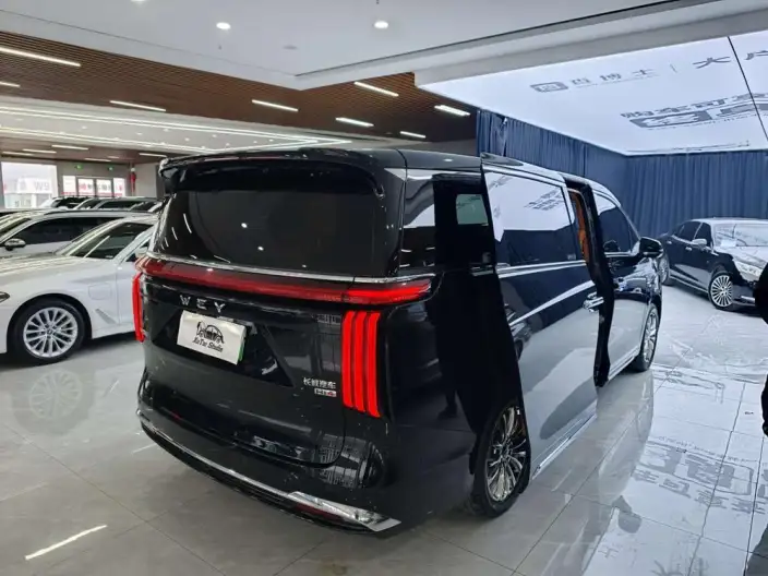 Wey Gaoshan P HEV 2023 Model 4WD Executive Extended Edition