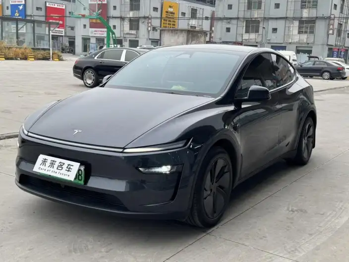 Model Y 2025 Model Rear-wheel drive version – фото 1