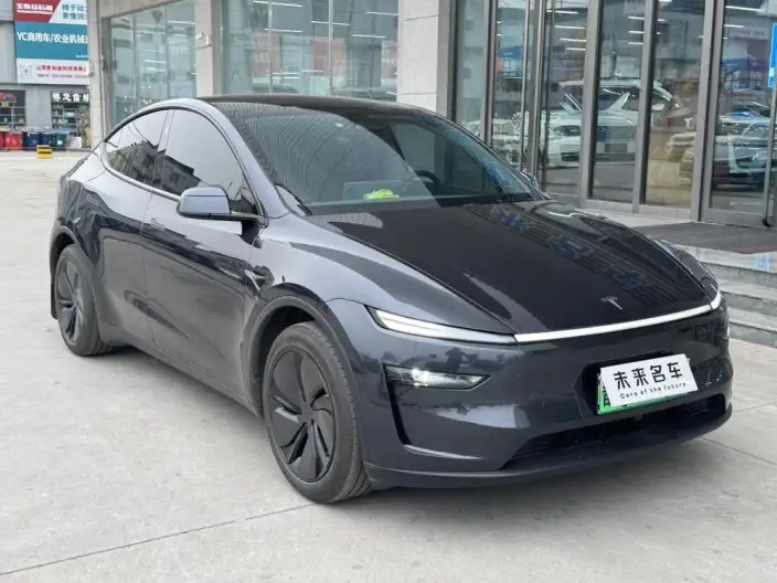 Model Y 2025 Model Rear-wheel drive version – фото 3