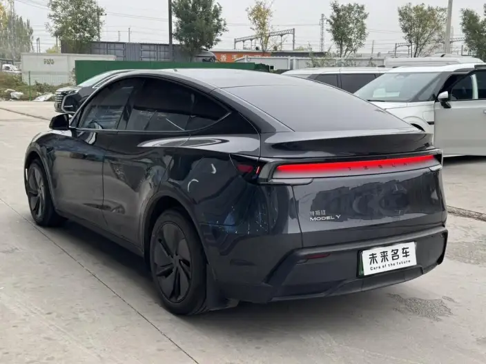 Model Y 2025 Model Rear-wheel drive version – фото 4