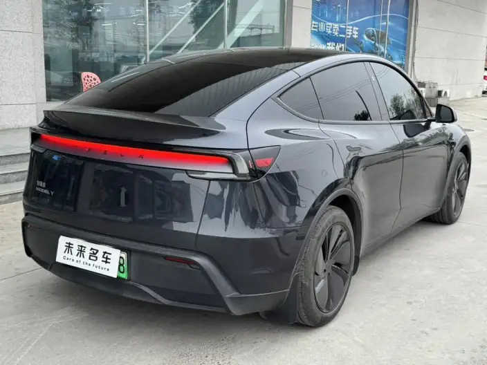 Model Y 2025 Model Rear-wheel drive version – фото 6