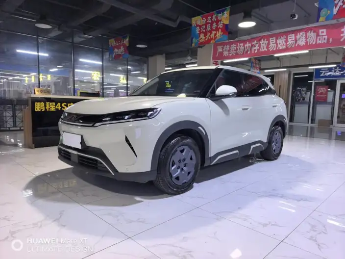 Yuan UP 2025 Model 301KM Pilot Model – фото 1