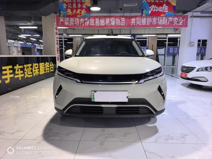 Yuan UP 2025 Model 301KM Pilot Model – фото 2